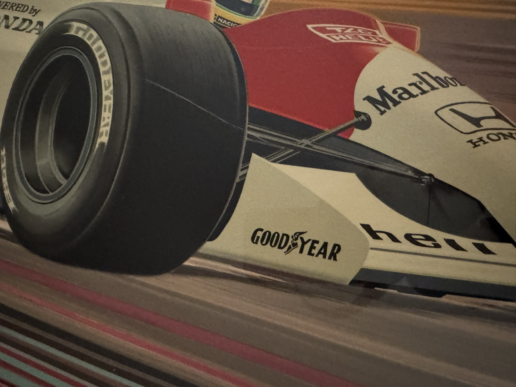 Lithograph senna