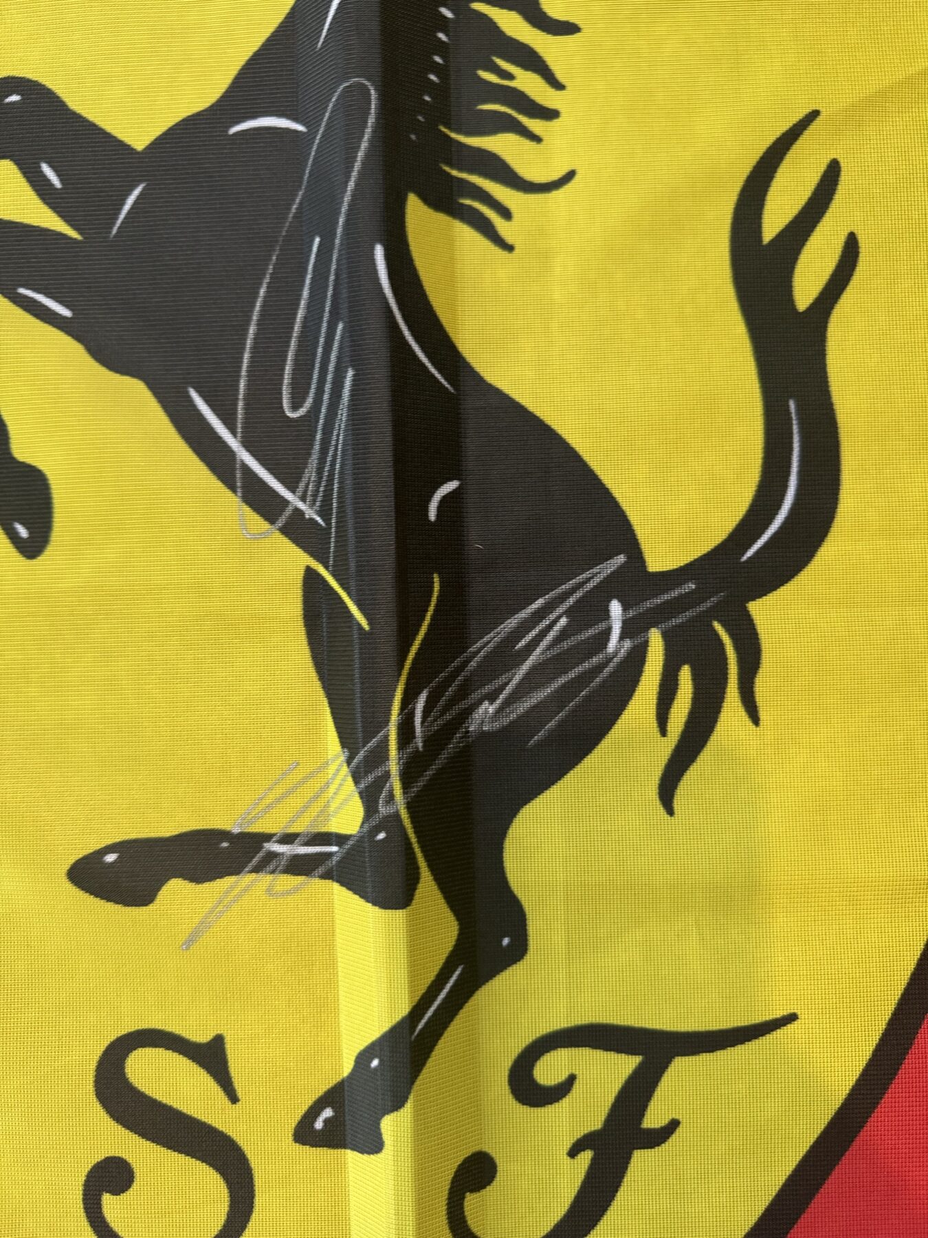 Lewis Hamilton and Charles Leclerc Signed flag - Image 4