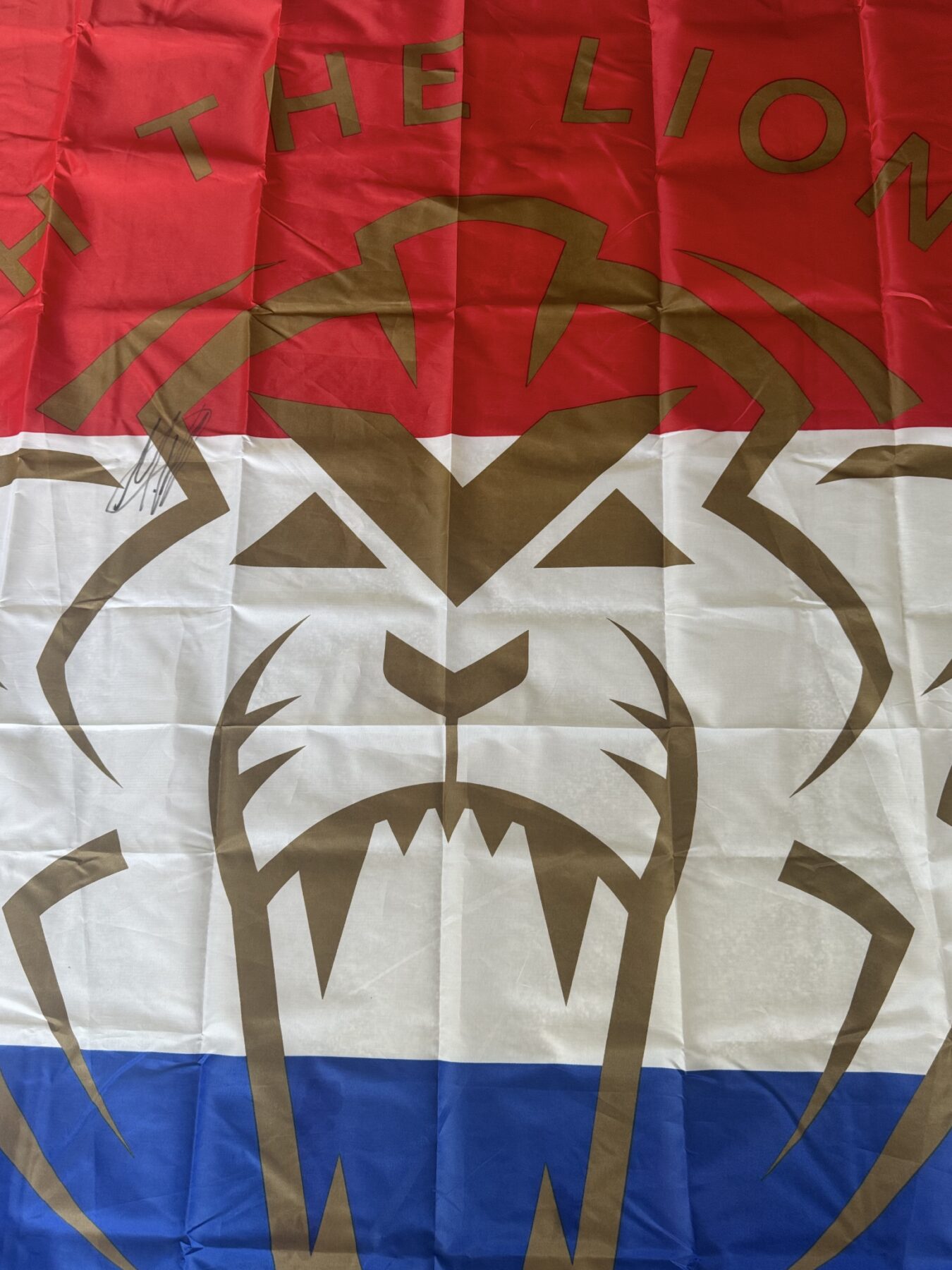 Max Verstappen “the lion” 2026-Signed flag-extra large size - Image 3