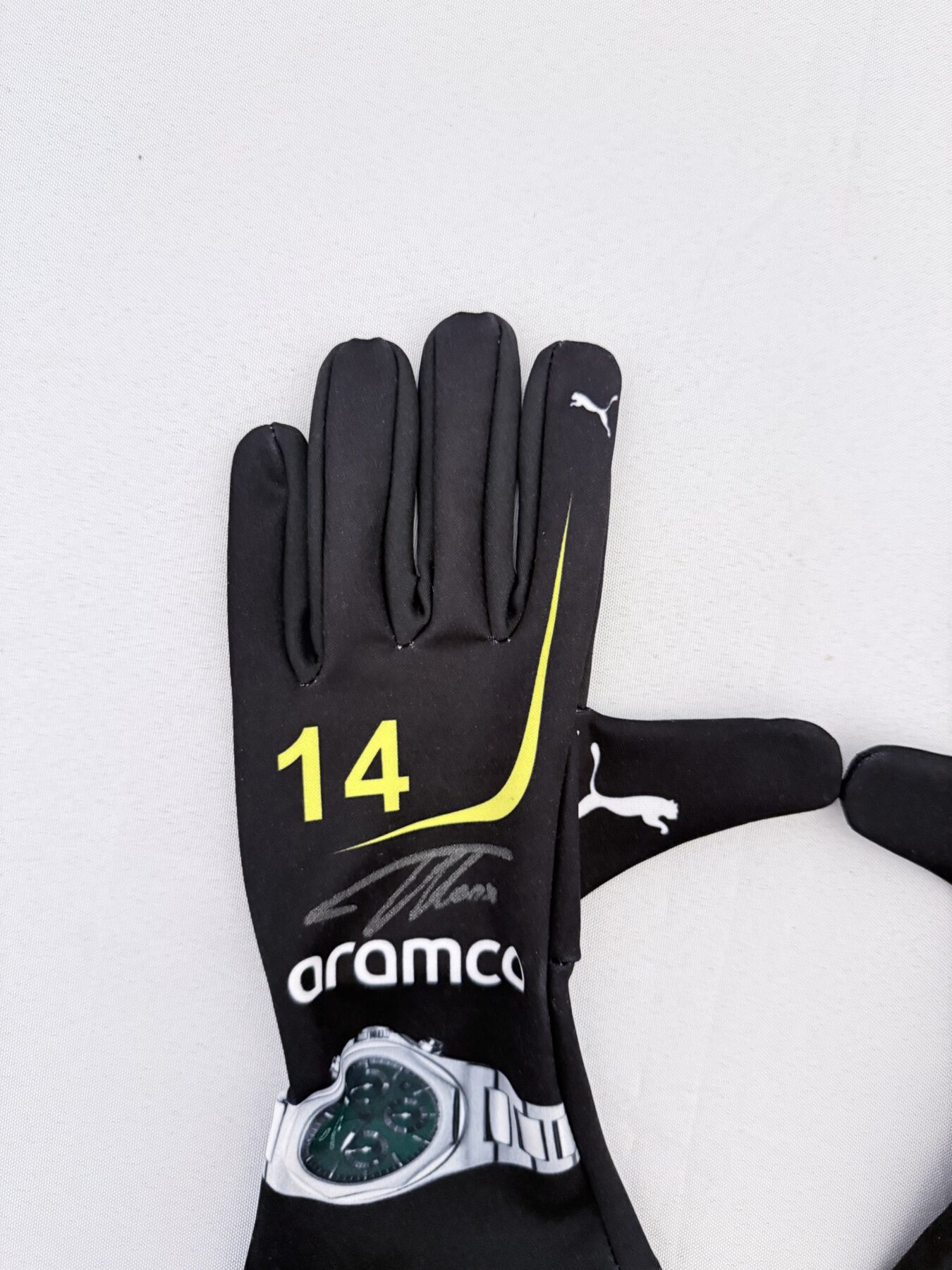 Fernando Alonso Signed Gloves - Image 3