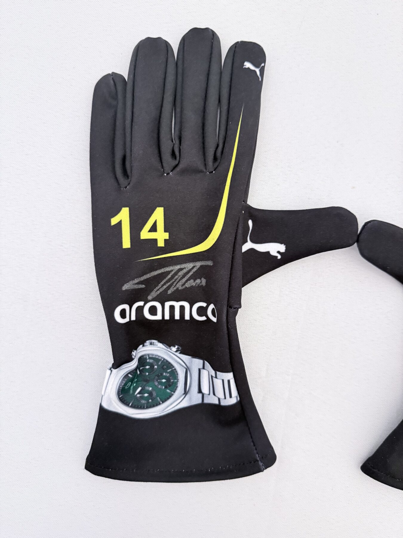 Fernando Alonso Signed Gloves - Image 4
