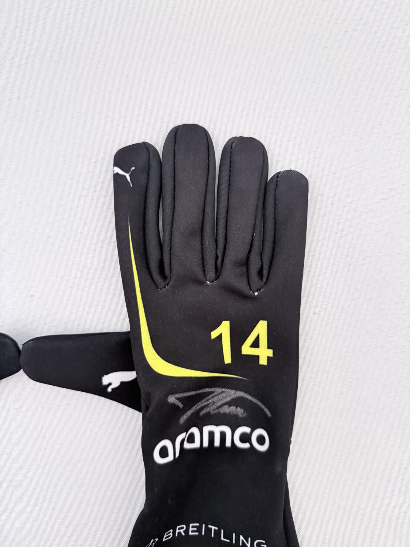 Fernando Alonso Signed Gloves - Image 5
