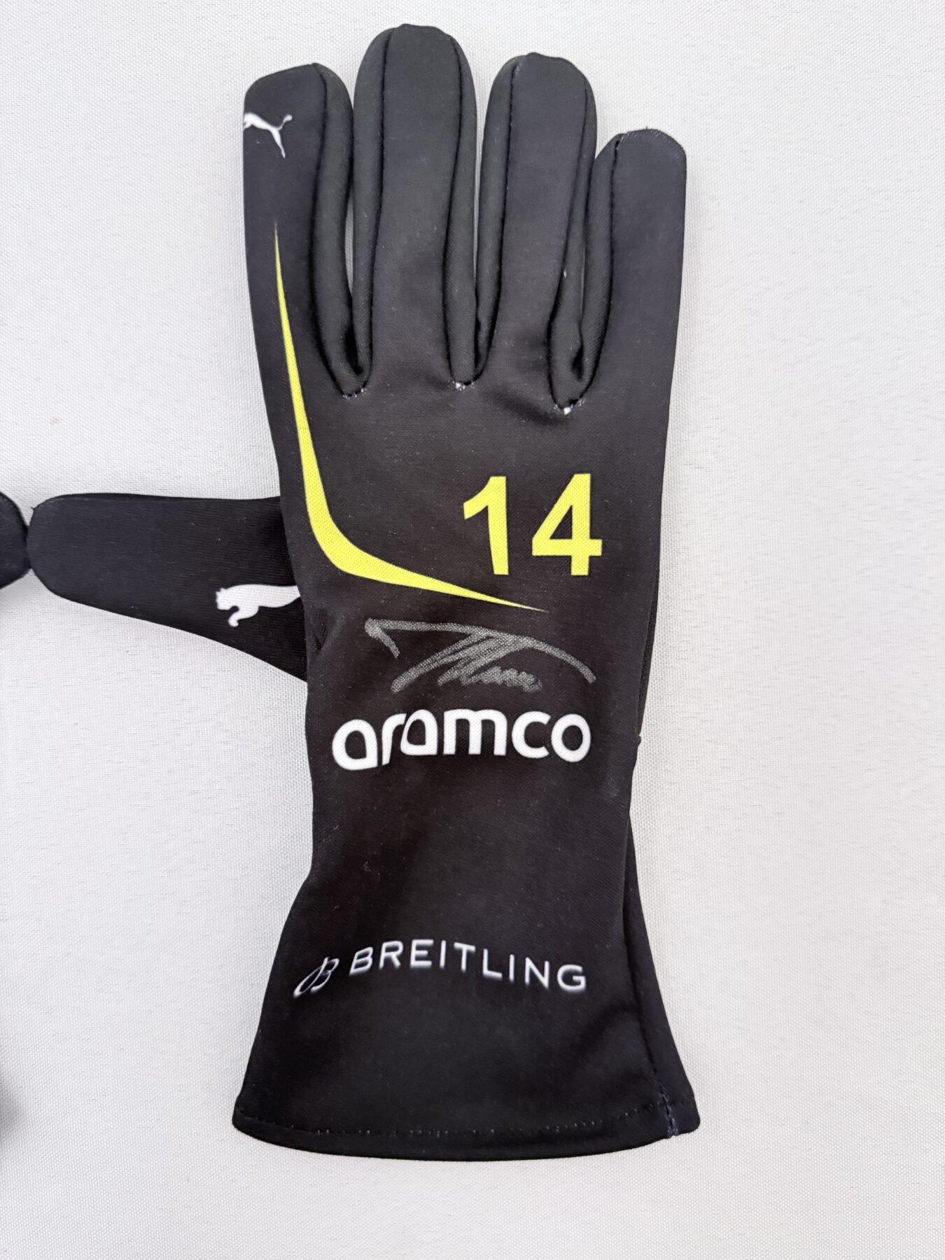 Fernando Alonso Signed Gloves - Image 6