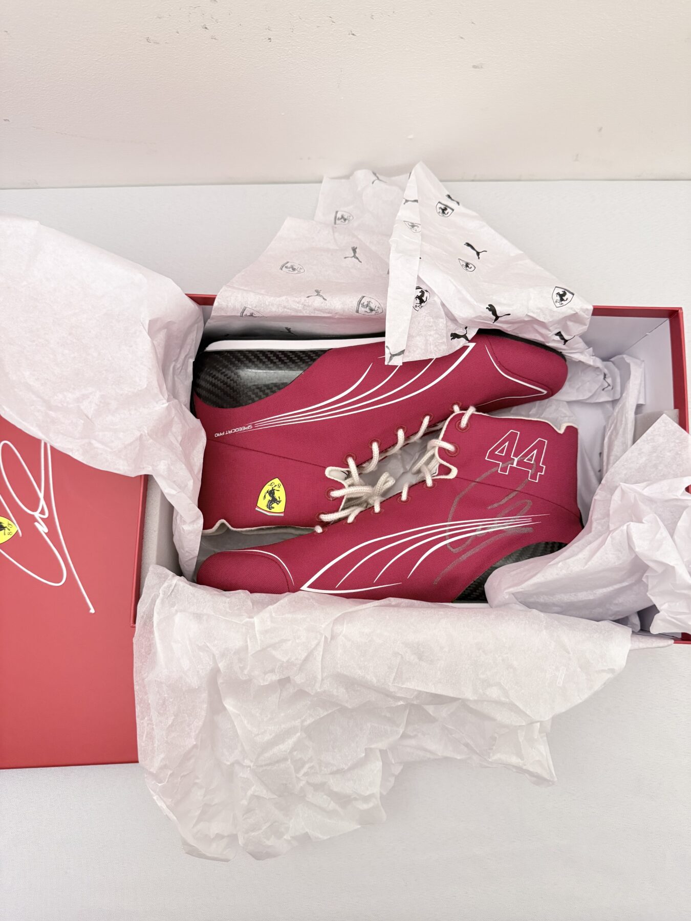 Lewis Hamilton Signed Ferrari Official Boots - Image 29